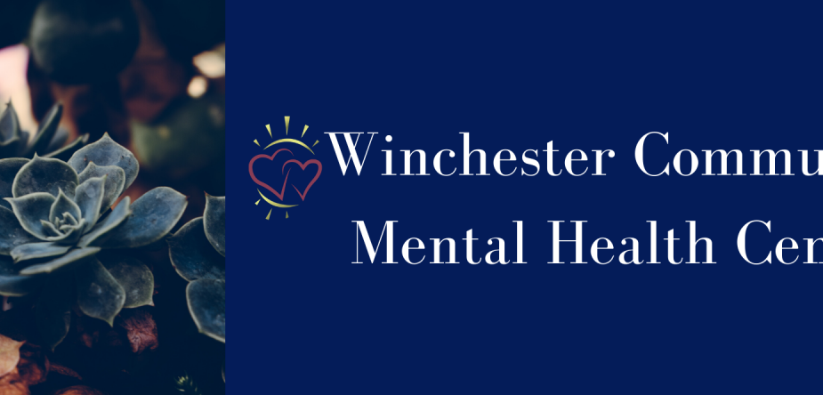 Winchester Community MH Center Inc